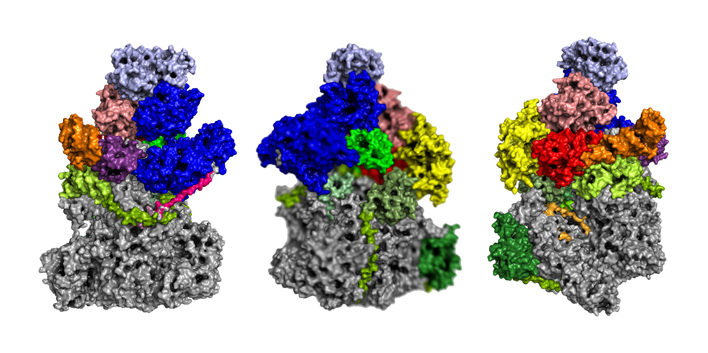 Cell_Hüttenhofer.jpg