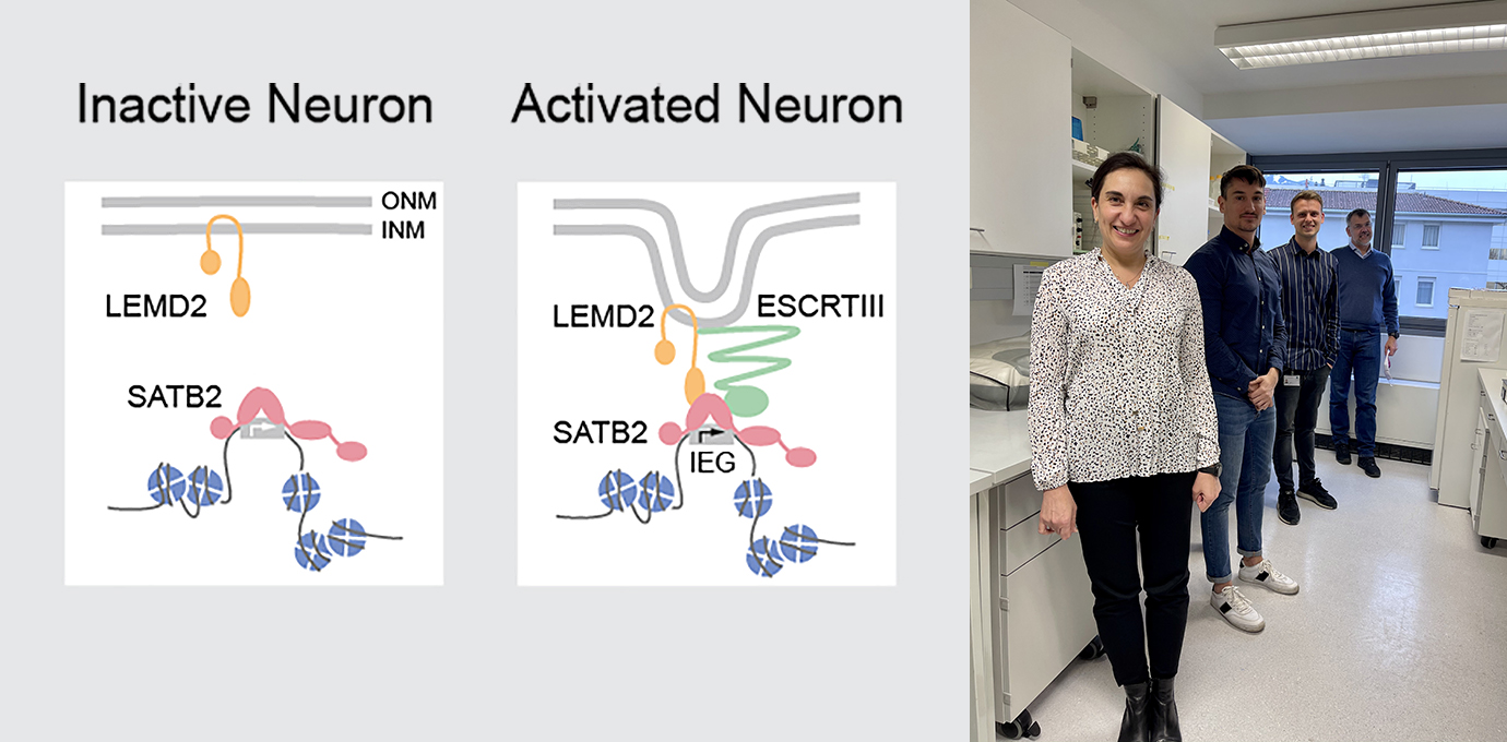 EMBO_Paper