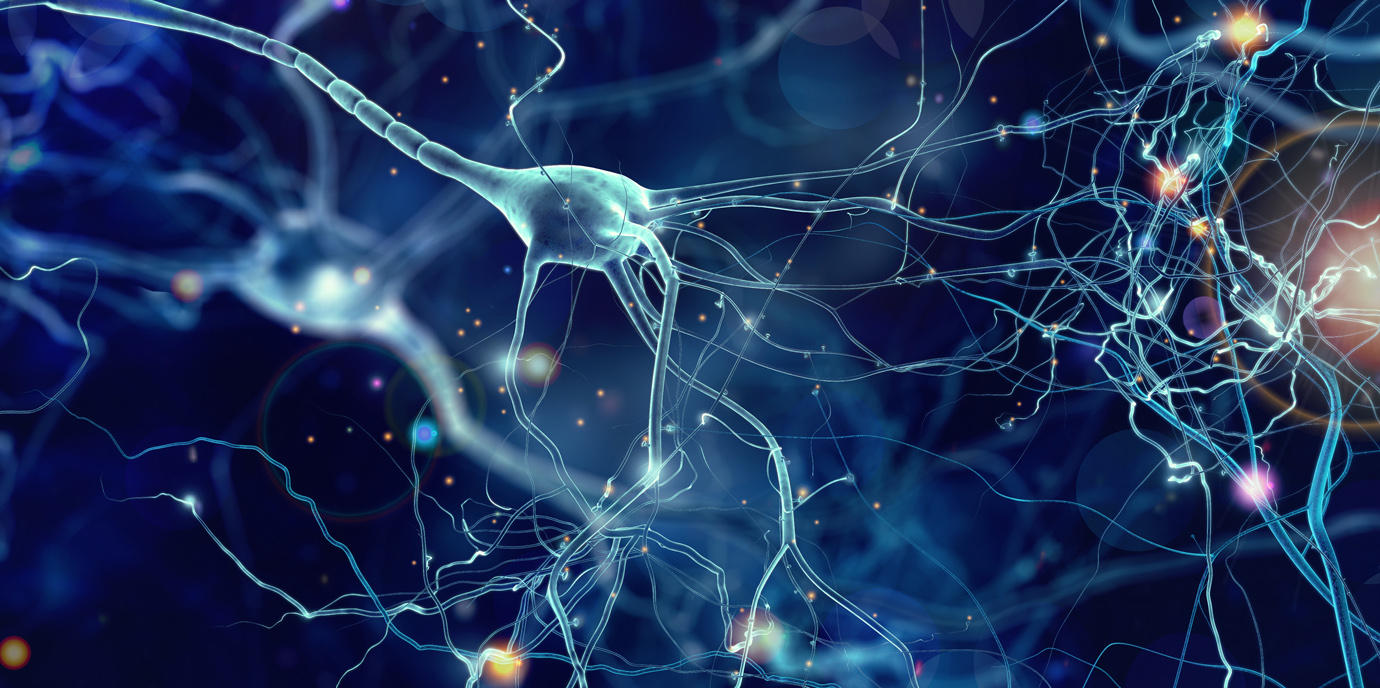 Wie Angst im Gehirn abgespeichert wird