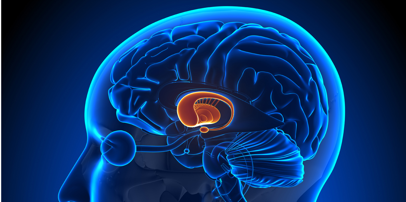 Wie Angst unser Gehirn verändert