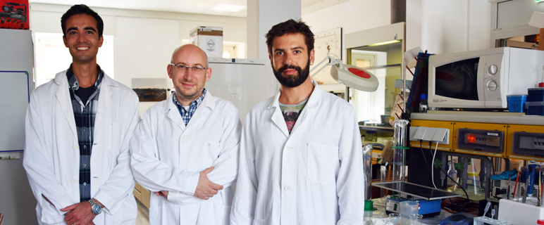 Neue Erkenntnisse über Zusammenhang von Hunger und Angstextinktion