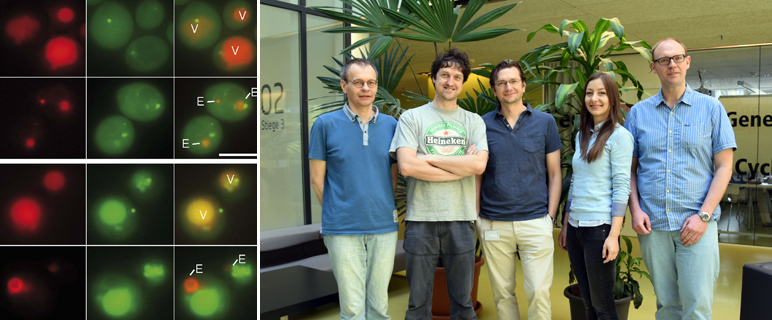 „Reduce, reuse, recycle“