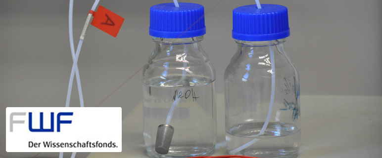 Neue FWF-Projekte an der Medizinischen Universität Innsbruck