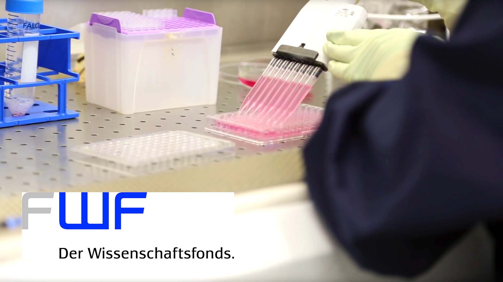 Medizin Uni Innsbruck koordiniert zwei neue FWF-Forschungsgruppen