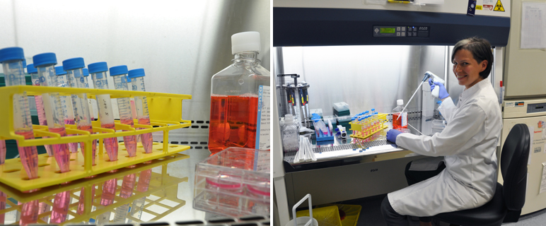 Priv.-Doz.in Dr.in Natalie Sampson von der Innsbrucker Univ.-Klinik für Urologie (Direktor: Univ.-Prof. Dr. Wolfgang Horninger) belegt mit ihrer Forschungsarbeit zum Enzym NADPH Oxidase 4 (Nox4) den zweiten Platz