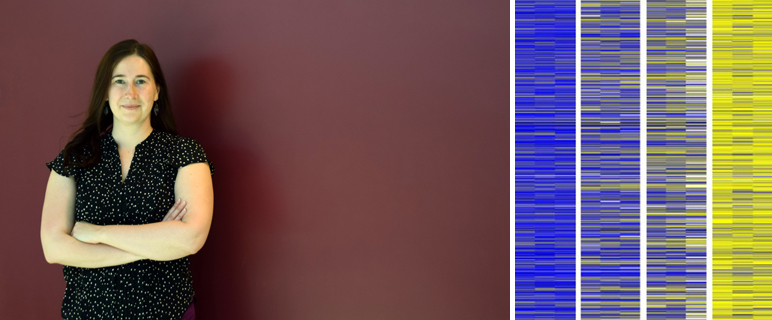 TET-Enzyme und ihre identitätsstiftende Rolle in der B-Zell-Entwicklung