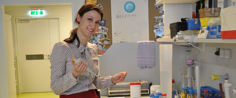 Forschungserfolg am Biozentrum Innsbruck: Neues Fertilitätsgen entdeckt? 