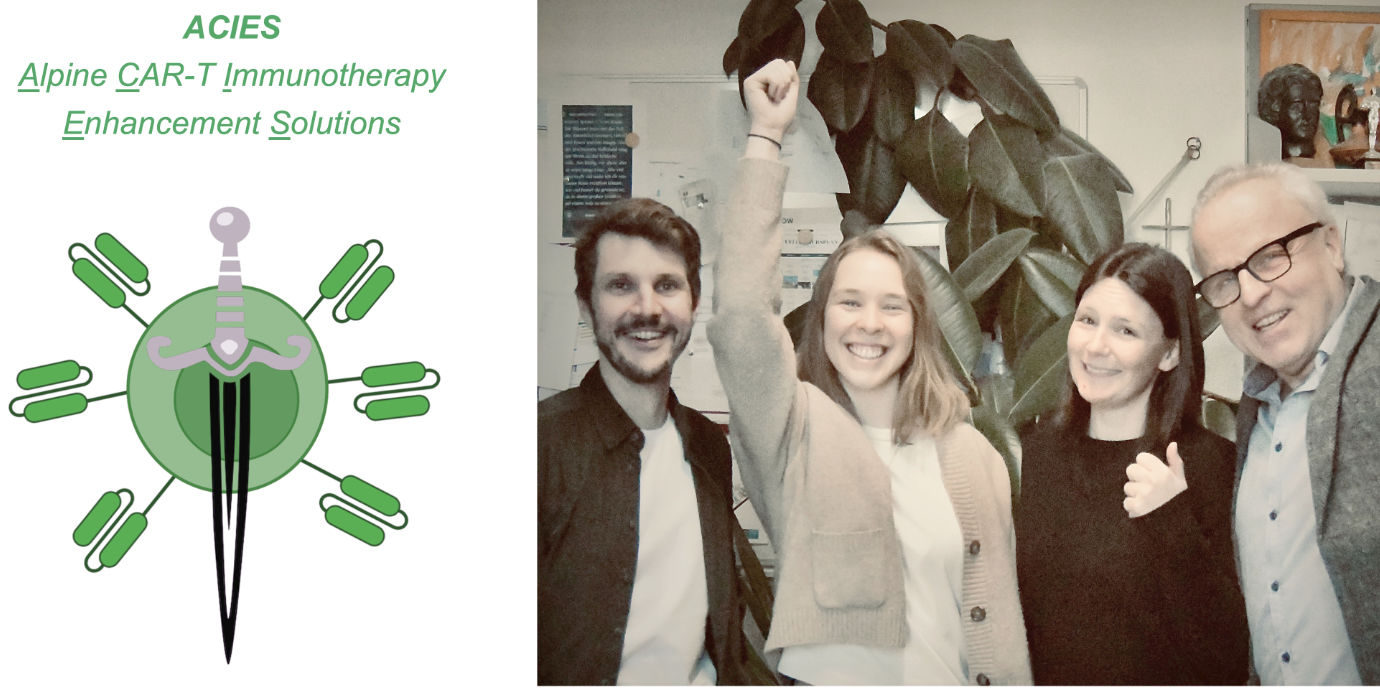 CAR-T-Krebstherapie neu gedacht