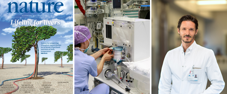 Menschliche Leber wird selbst zum Patienten: Neue Studie zeigt Verbesserungen