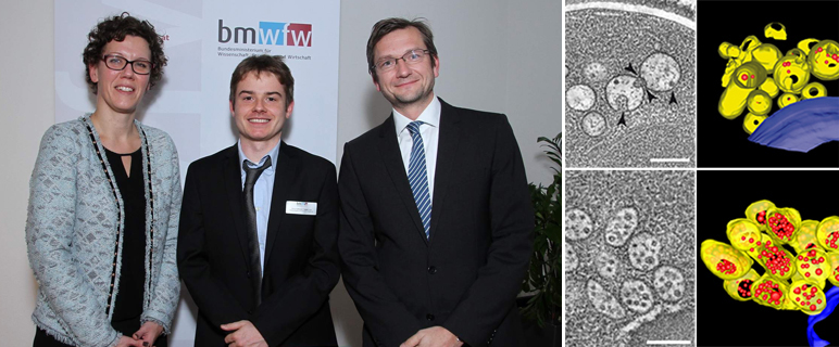 Award of Excellence an jungen Zellbiologen