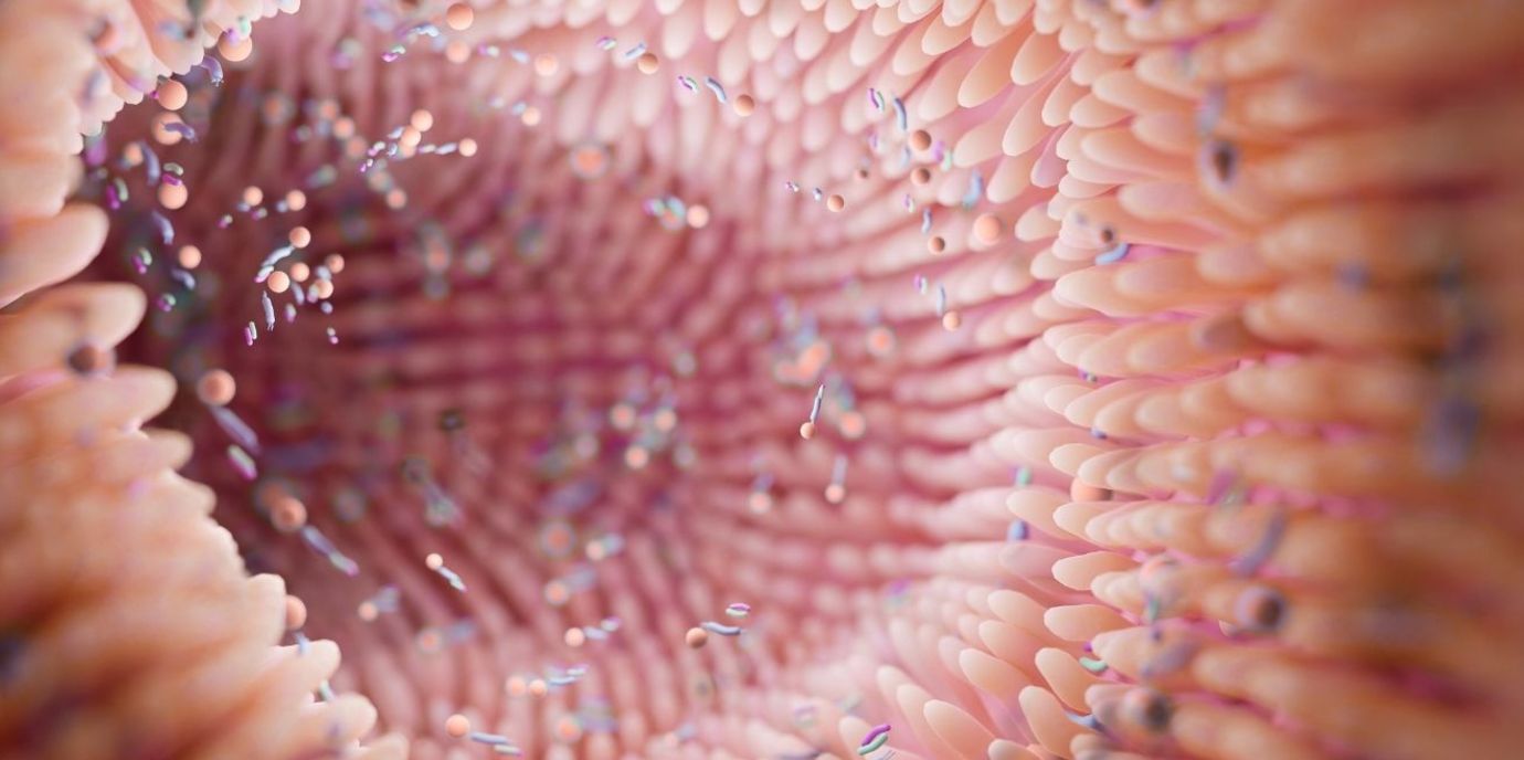 Bestätigt: Darmmikrobiom liefert vielversprechenden Biomarker für Lebererkrankung bei fettleibigen Kindern