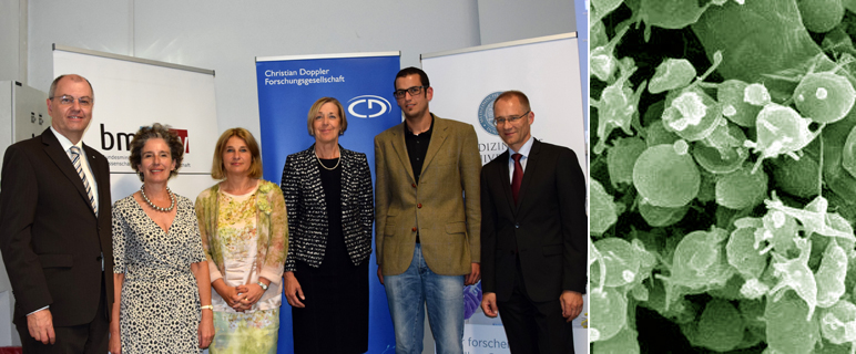 Weiteres CD-Labor hat invasive Pilzinfektionen im Visier