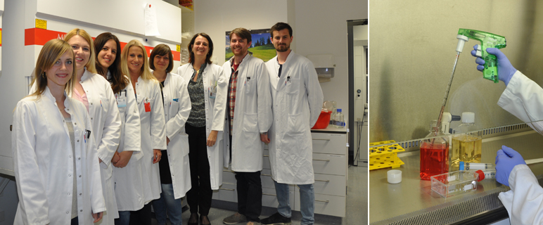 CD-Labor für Insulinresistenz: Verlängerung nach positiver Zwischenbilanz 