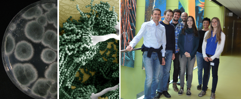 Internationale Kooperationen zur Verbesserung der Behandlung von Pilzinfektionen