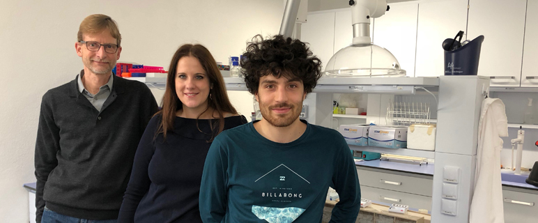 Zum Greifen nah: das „Missing Link“ der Skelettmuskel Kontraktion 