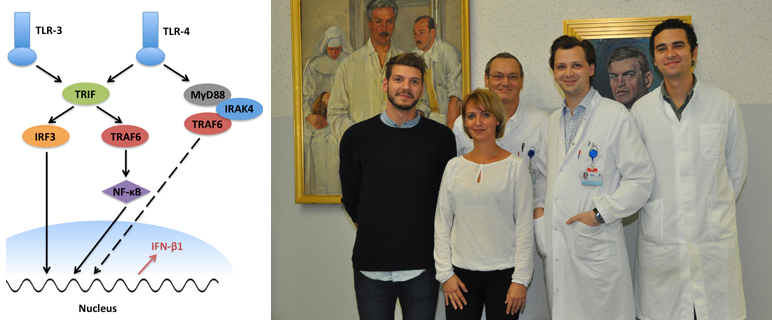 Stoßwellentherapie – Forschungspreis für Entschlüsselung des molekularen Mechanismus 