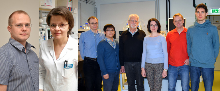 Neue Einblicke in den zentralen Prozess der Zellteilung