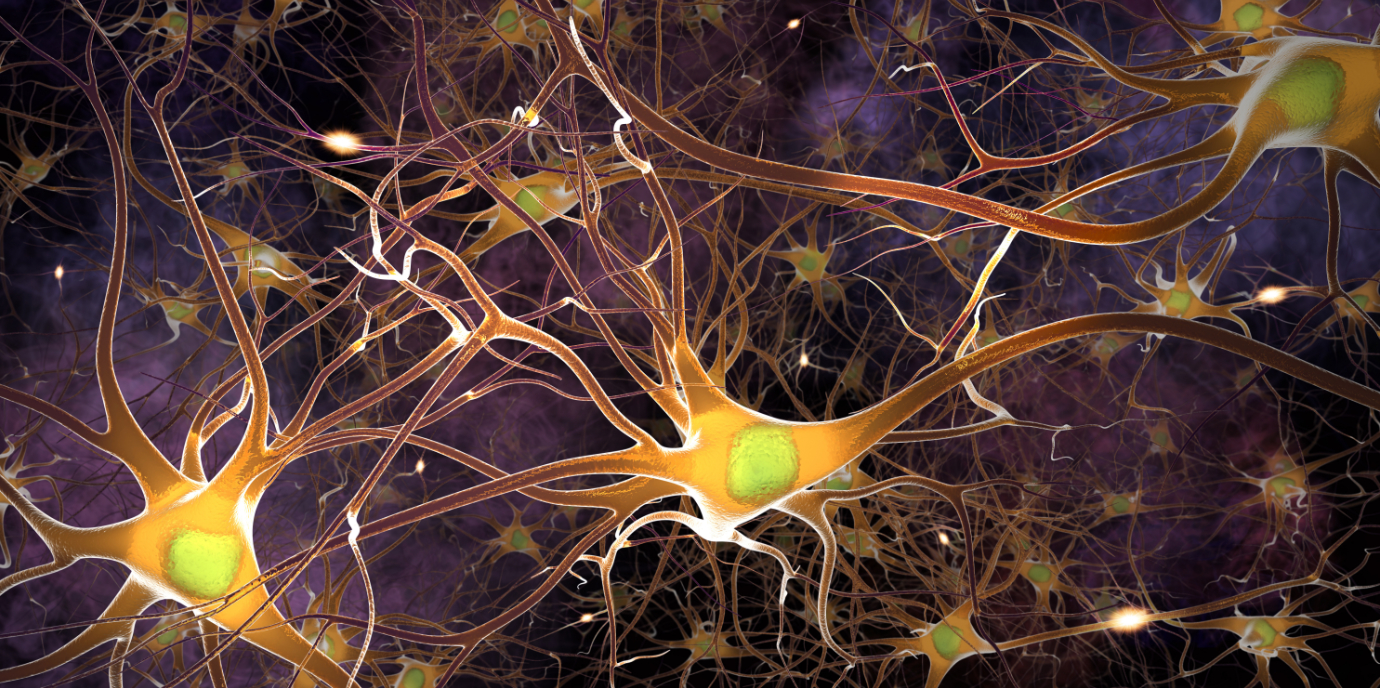 Neuer Biomarker bei Multipler Sklerose ermöglicht frühe Risikoeinschätzung und gezielte Therapiewahl