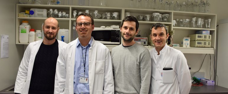 Innovative Forschungsarbeit zu Wirkstoff in der Transplantationsmedizin 