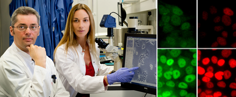 Prostatakrebs: Unterstützung für Hormonentzugstherapie