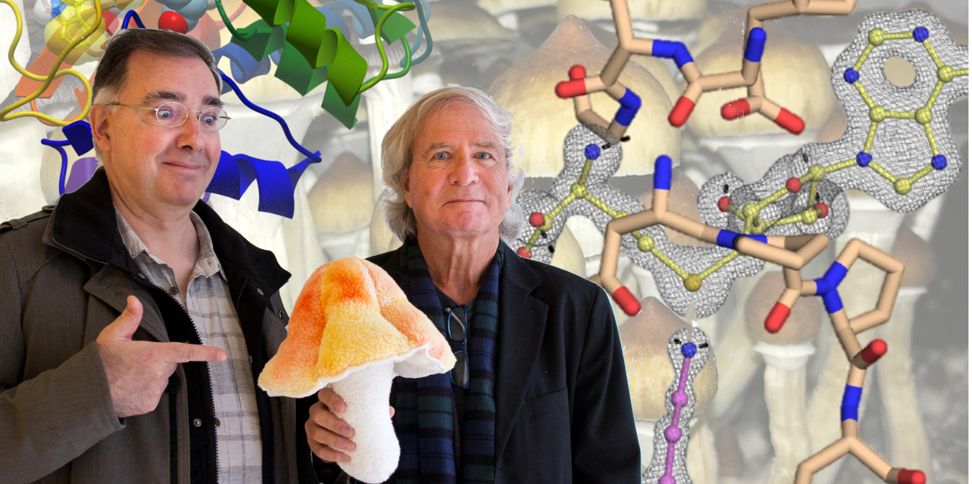 Der Magie der Pilze auf der Spur