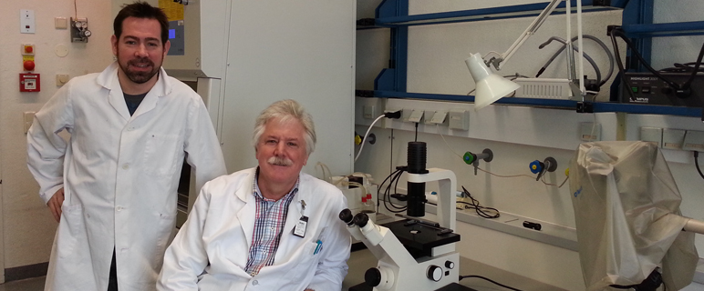 StemBANCC – Neue Möglichkeiten der Zellforschung dank Nobelpreistechnologie