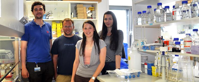 Gefragt: Innsbrucker Expertise zur schädlichen Wirkung von Zigarettenrauch