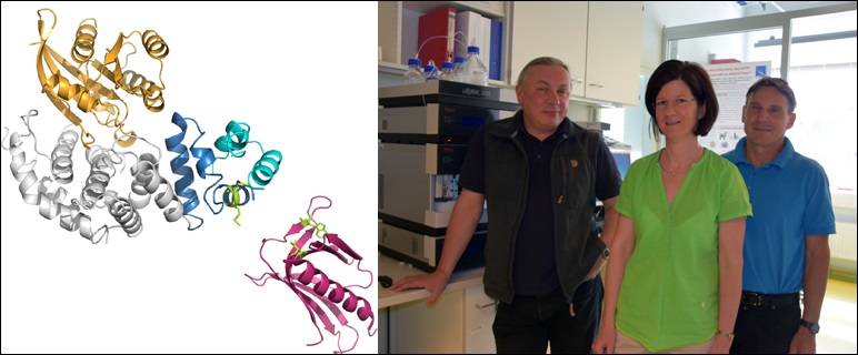 Neue Einblicke in die Neurofibromatose Typ1 (NF1) 