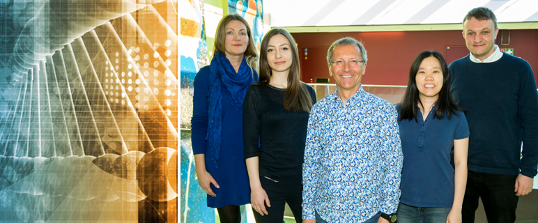 Erster Schritt zur Entwicklung neuer Immuntherapien gegen Darmkrebs