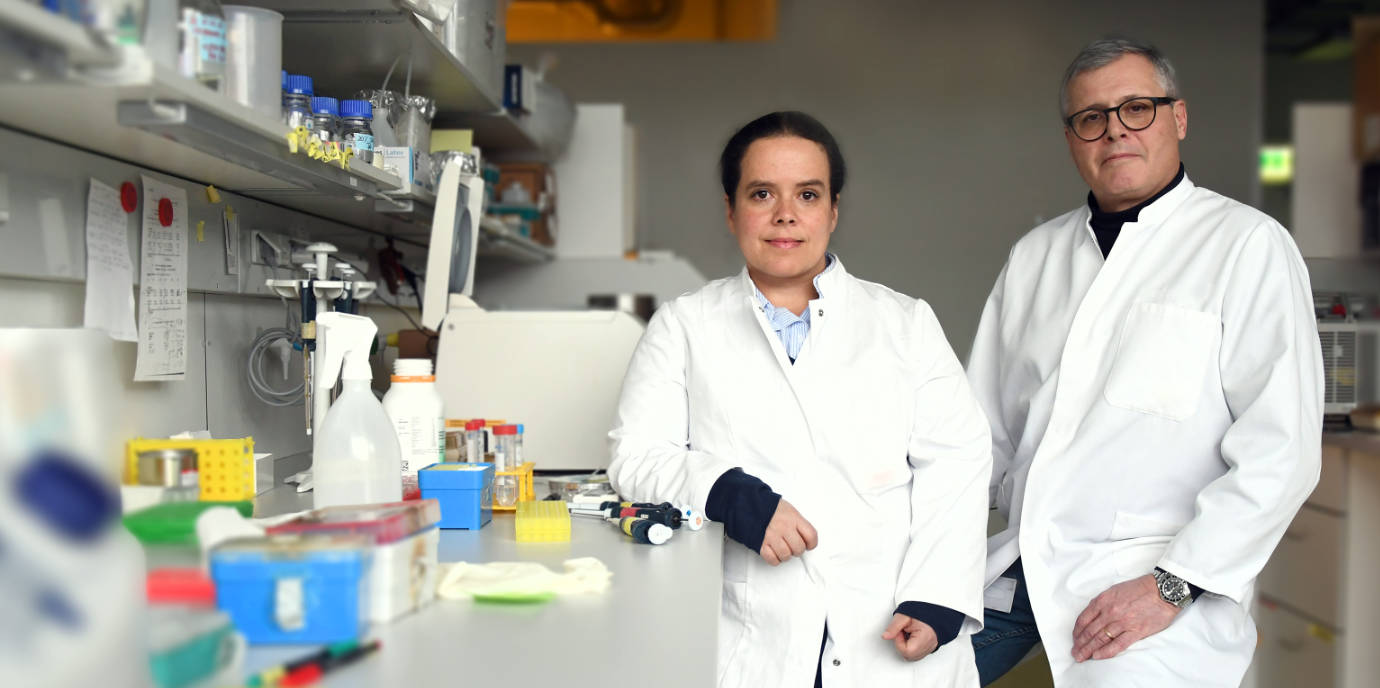 Blick in die Zelle:  Neu entdeckter Mega-Proteinkomplex bietet Angriffspunkte für die Therapie seltener Stoffwechselerkrankungen