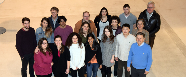 Erfolgsgeschichte SPIN: Doktoratskolleg startet in vierte Förderperiode