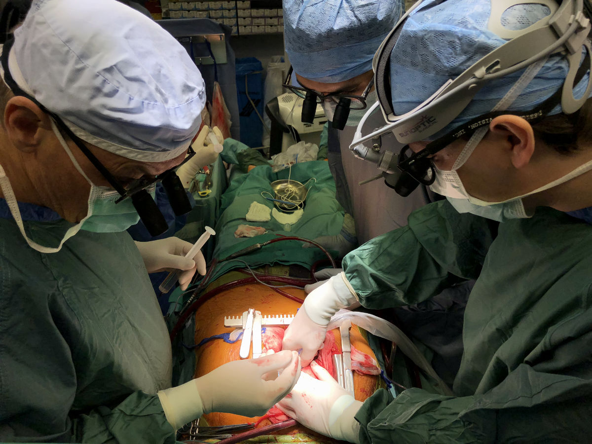 Johannes Holfeld (r) führt bei einer Bypass-OP die Stoßwellentherapie am Herzmuskel durch (Foto: Univ.-Klinik f. Herzchirurgie/MUI)