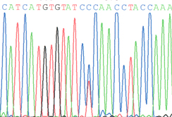 gen_analyse