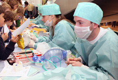 Kinder erleben beim Teddybärkrankenhaus spielerisch einen Krankenhausaufenthalt. 