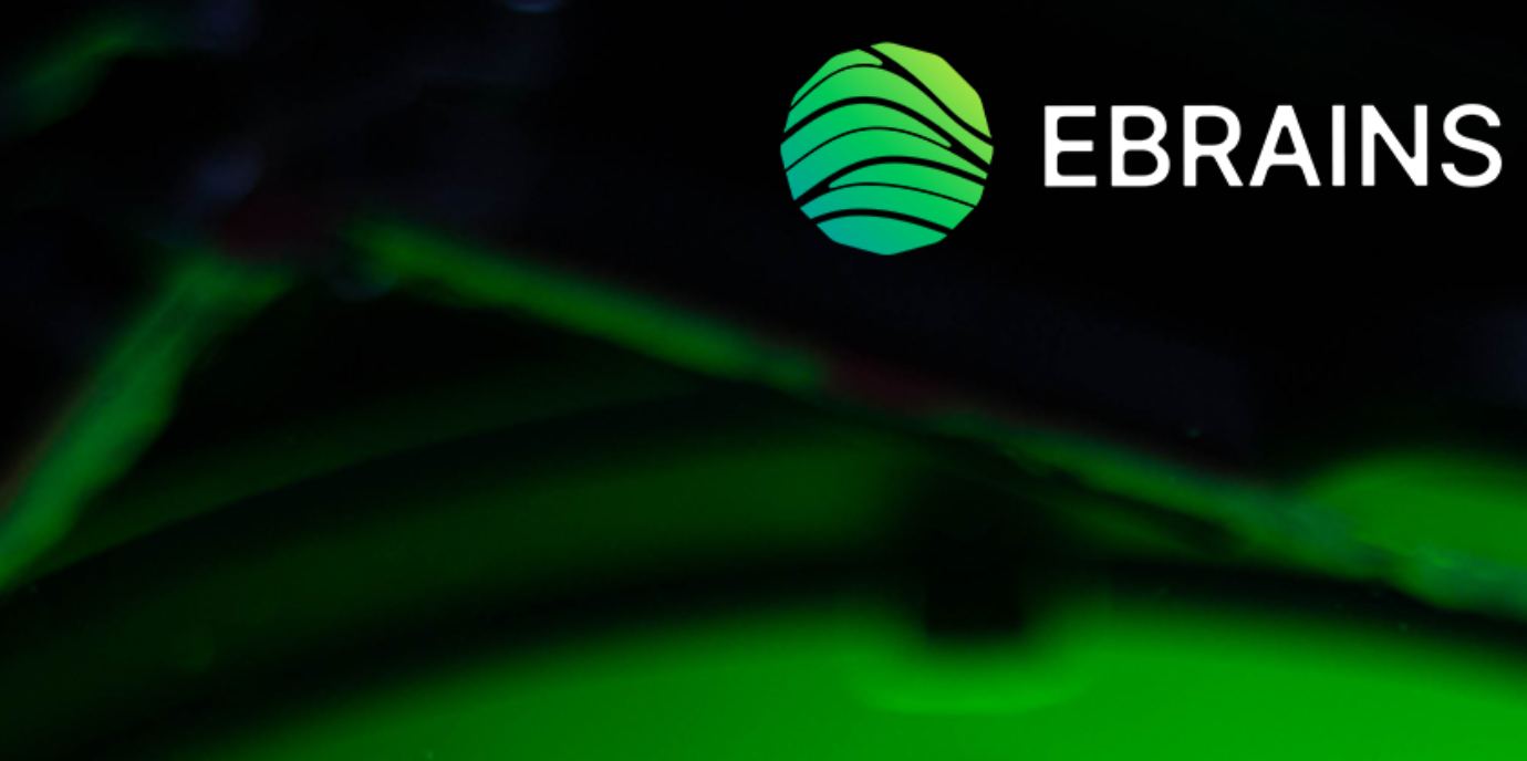 EU-Forschungsinfrastruktur EBRAINS mit 38 Millionen Euro finanziert