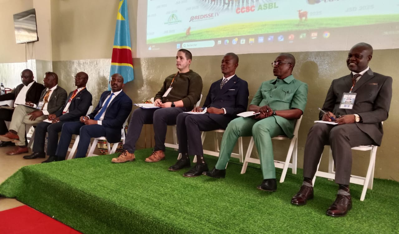 Personen sitzen bei einer Konferenz auf einer Bühne