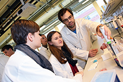 Schüler:innen lernen das Studium Molekulare Medizin kennen