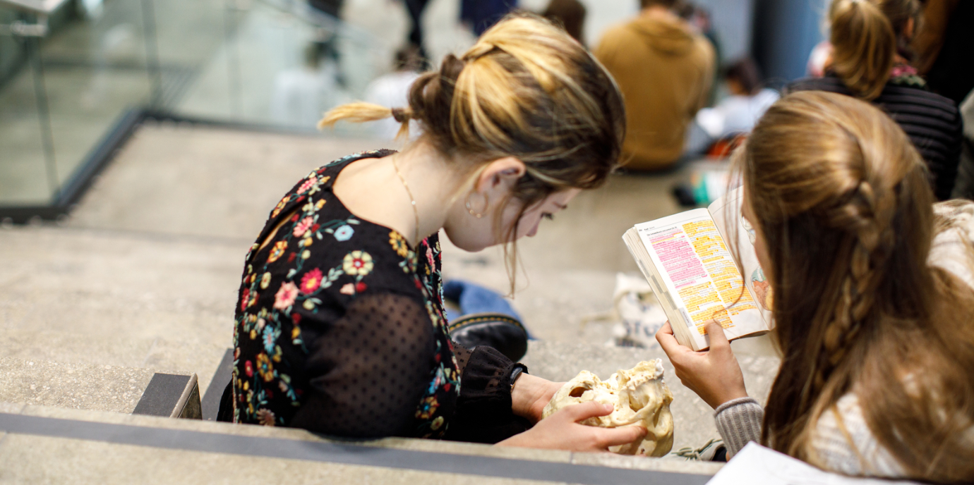Drei Diplomarbeiten zu Allgemeinmedizin ausgezeichnet
