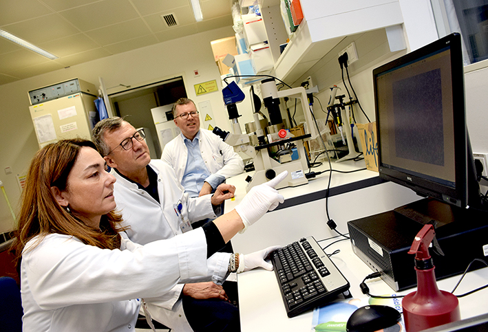 Prostatakrebs: Ein Gesamtbild schaffen